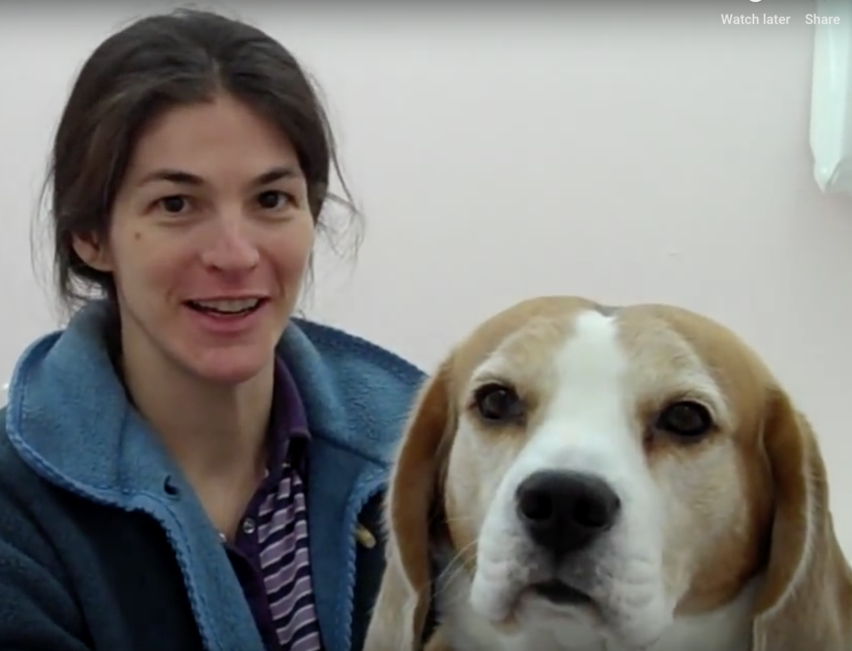  Cabinet Vétérinaire International,Nyon Veterinarian, veterinarian Nyon