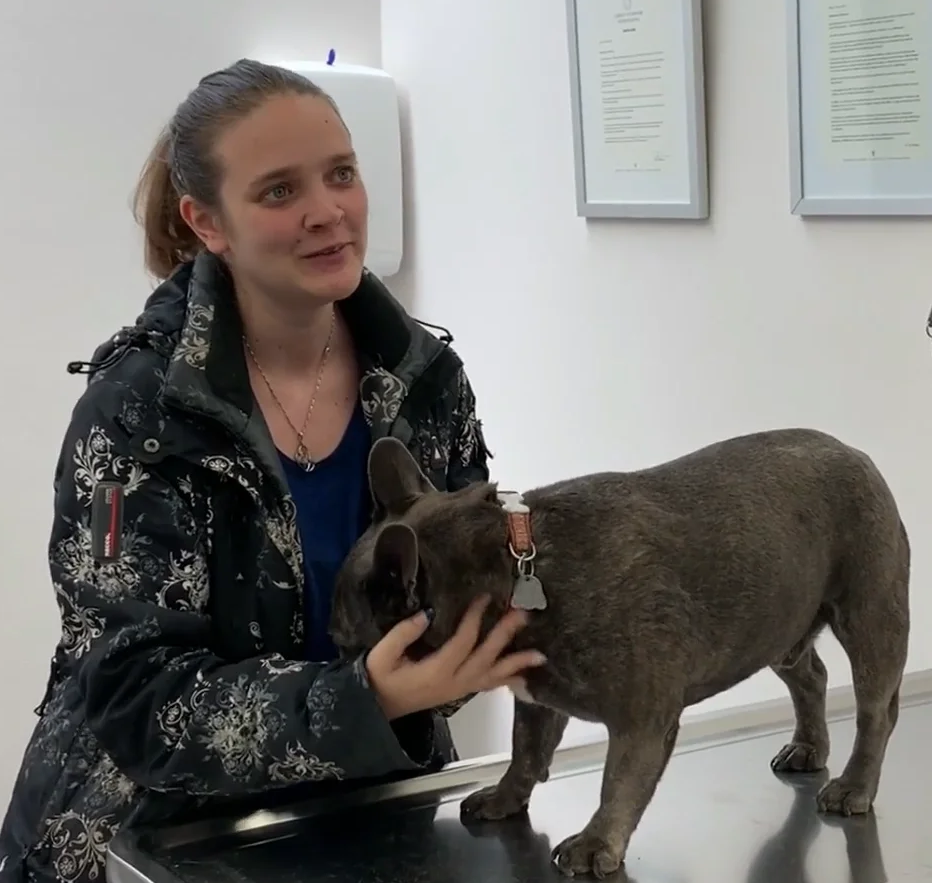  Cabinet Vétérinaire International,Nyon Veterinarian, veterinarian Nyon