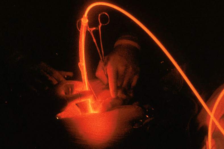  Cabinet Vétérinaire International,Nyon Veterinarian, veterinarian Nyon