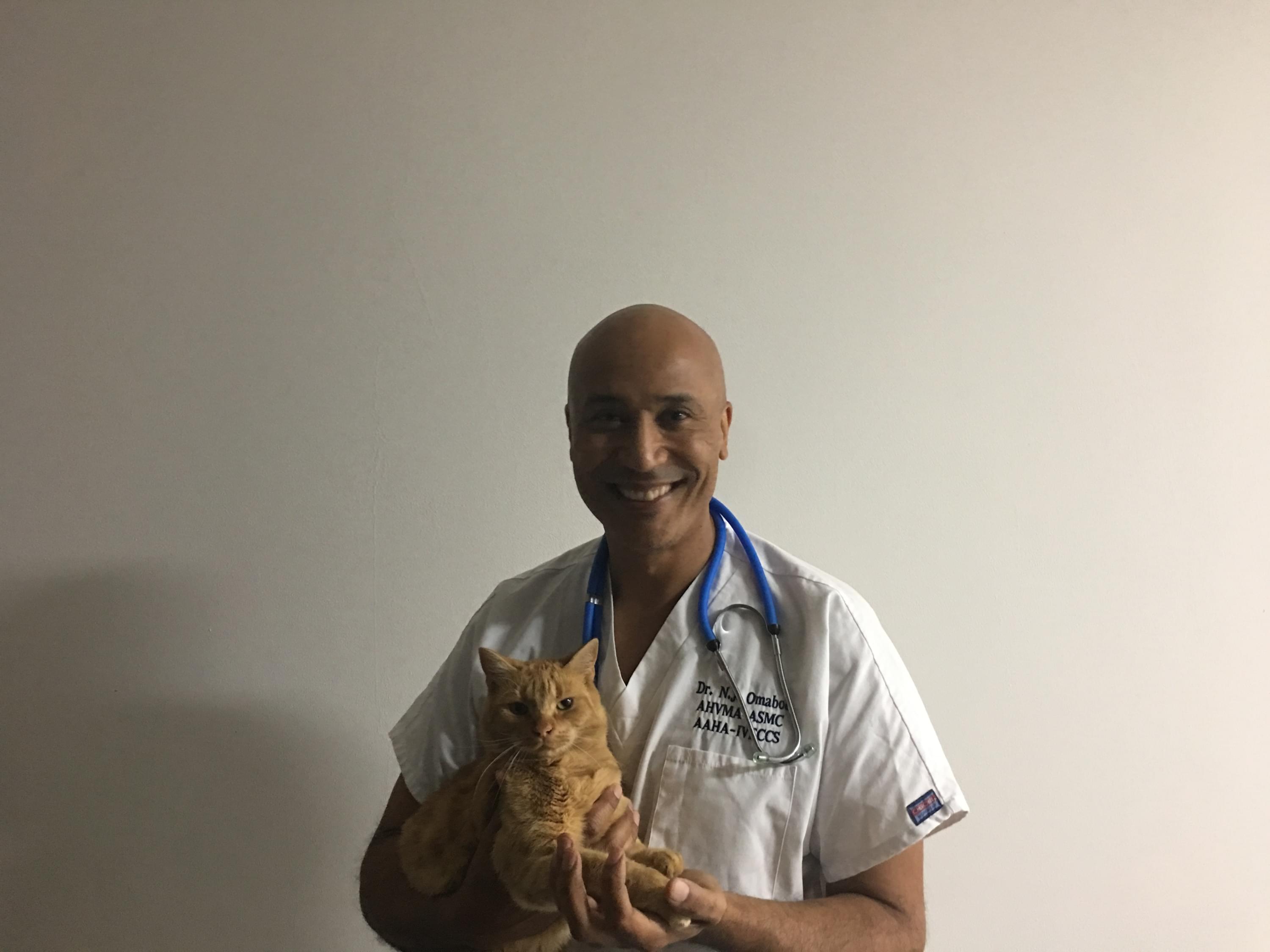  Cabinet Vétérinaire International,Nyon Veterinarian, veterinarian Nyon